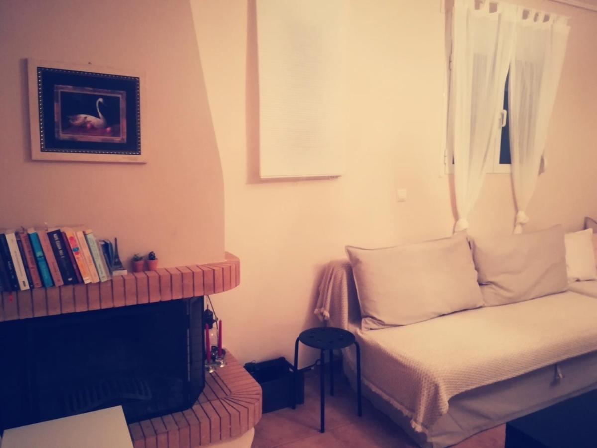 Lux House Next To The Airport Of Athens. Transport 24H Villa Artemida  Buitenkant foto